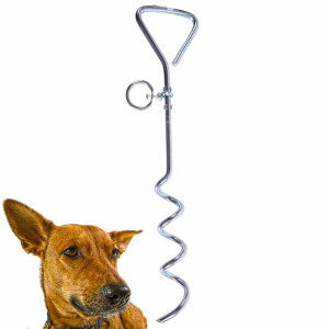 Land Anchor and Dog Tether