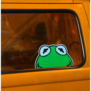 Lucky passenger: Frog for your bus